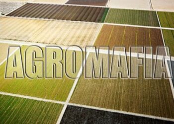 agromafia