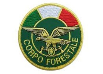 corpo forestale1