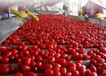 Anicav e Aiipa: Sì a tavolo tecnico e rete del lavoro agricolo di qualità – PP