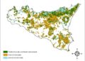 foreste sicilia