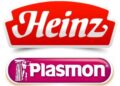 heinz plasmon