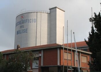Zuccherificio Molise: il futuro resta incerto, urgente tavolo al Mipaaf