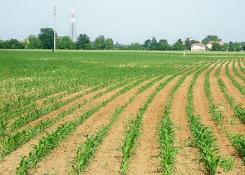 agricoltura3