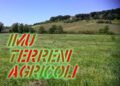 imu terreno agricolo