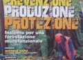 forestazione lamezia0