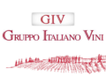 GIV – a Verona, coordinamento per informativa annuale