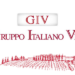 GIV – a Verona, coordinamento per informativa annuale