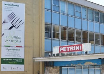 mignini petrini
