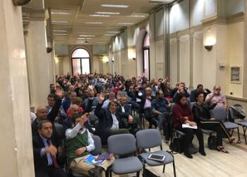 cremona attivofaiflaiuila0