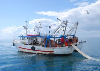 In Toscana pescatori si diventa