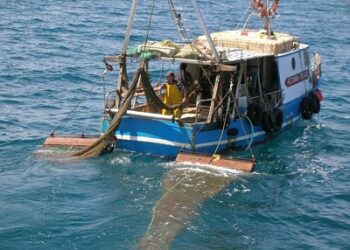 livornoformapescatori