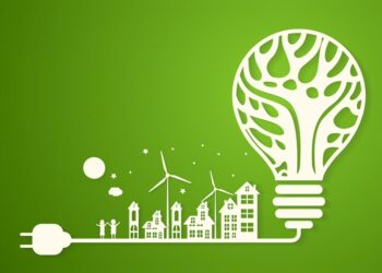 La Uila agli stati generali della Green Economy