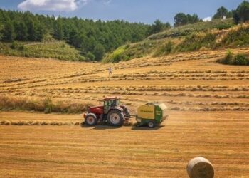 PNRR, grande opportunità per l’agroalimentare ma serve intervento su più fronti