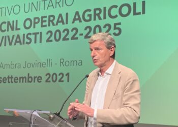 Fisco, l’Italia ha 22 miliardi l’anno per il prossimo triennio da utilizzare per riforme ineludibili