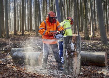 Forestali, dopo 11 anni rinnovato il Ccnl