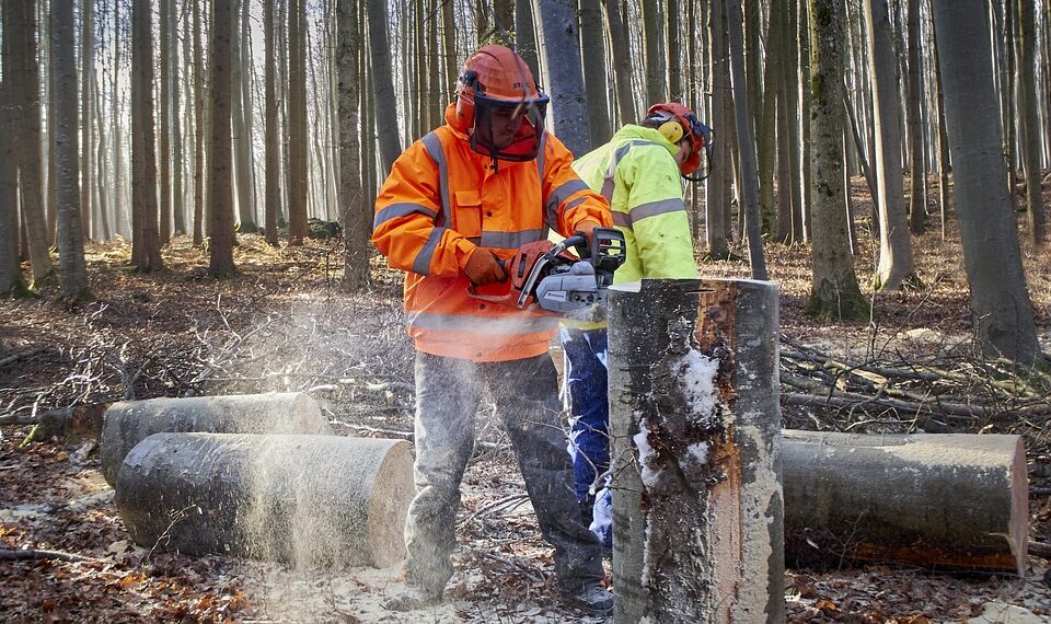 Forestali, dopo 11 anni rinnovato il Ccnl