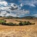 Rete del lavoro agricolo di qualità, nascono anche a Trento e Ancona le sezioni territoriali