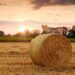 Operai agricoli, rinnovo Ccnl 2022-2025 è importante contributo contro recessione
