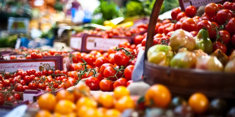 Agroalimentare: export verso un nuovo record, attesi 73 miliardi nel 2025