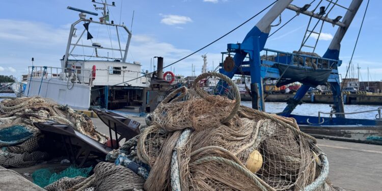 Pesca, la revisione della Pcp: “tanto fervore per nulla”?