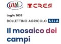 Agricoltura italiana, i dati del 2025 e il raffronto con il 2017 nel Bollettino Uila-Cres