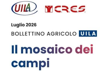 Agricoltura italiana, i dati del 2025 e il raffronto con il 2017 nel Bollettino Uila-Cres