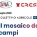 Agricoltura italiana, i dati del 2025 e il raffronto con il 2017 nel Bollettino Uila-Cres