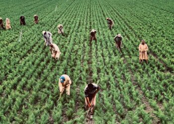 L’economia italiana dipende sempre più dal lavoro migrante