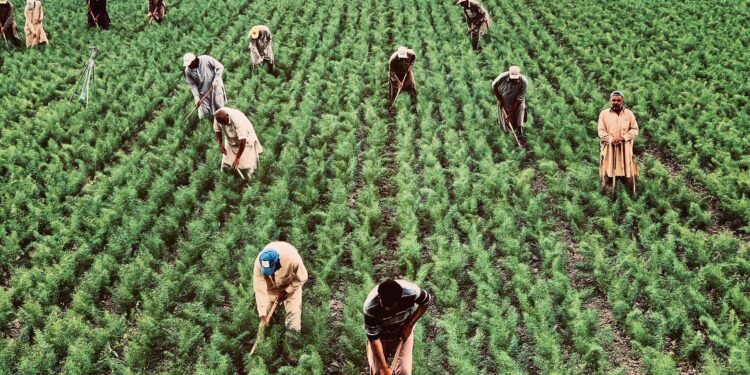 L’economia italiana dipende sempre più dal lavoro migrante