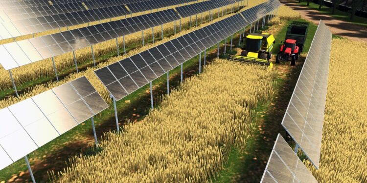 Stop ai pannelli fotovoltaici a terra nei terreni agricoli: la Consulta conferma il divieto