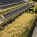 Stop ai pannelli fotovoltaici a terra nei terreni agricoli: la Consulta conferma il divieto
