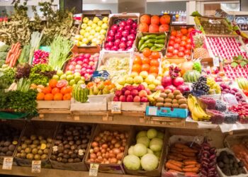 Export agroalimentare 2025, è nuovo record